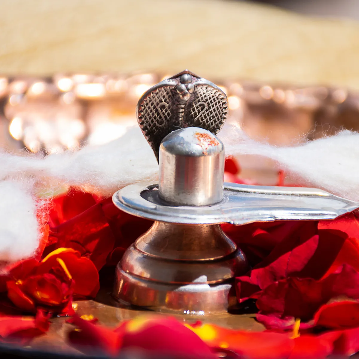 A silver Shivling under a naga hood, on red rose petals